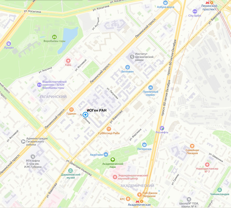 ������������ ����� ���